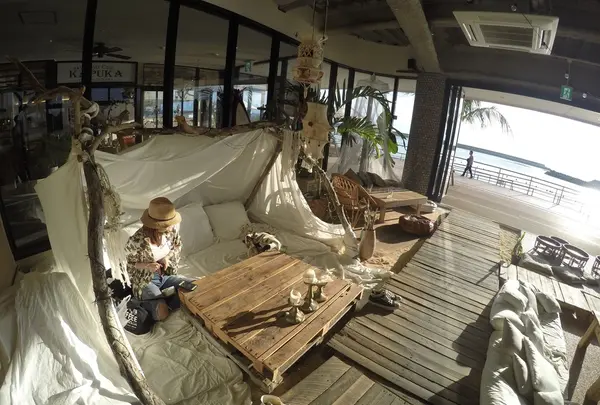 ジャングリラの写真・動画_image_231170