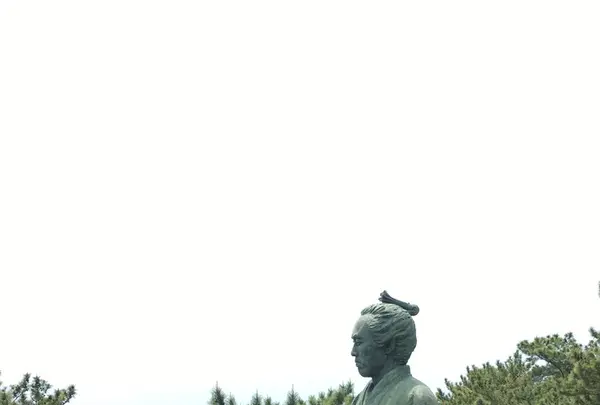 桂浜の写真・動画_image_231333