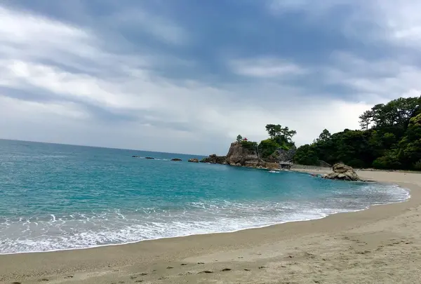 桂浜の写真・動画_image_231334