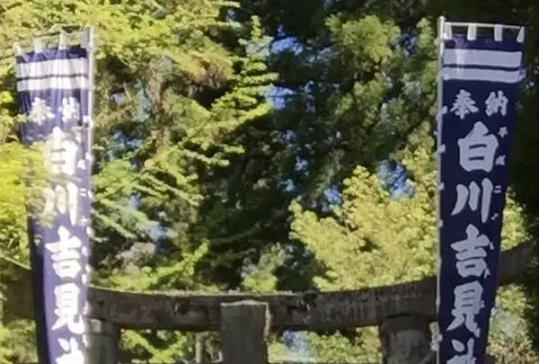 白川水源の写真・動画_image_231605