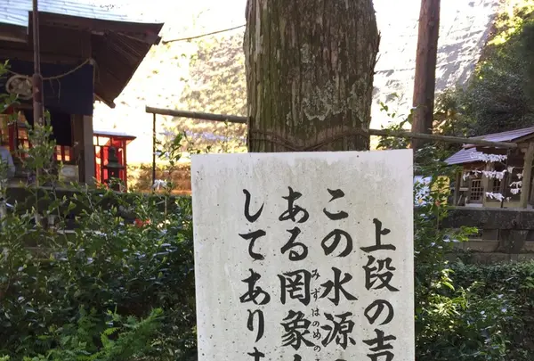 白川水源の写真・動画_image_231607