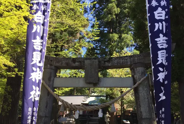 白川水源の写真・動画_image_231608