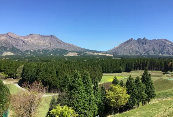 上色見熊野座神社の写真・動画_image_231620