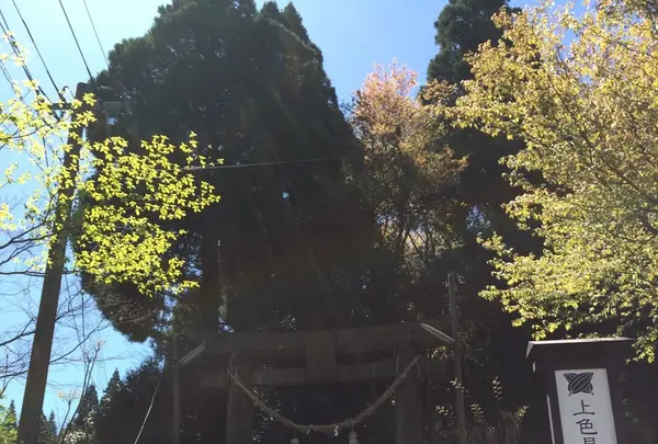 上色見熊野座神社の写真・動画_image_231621
