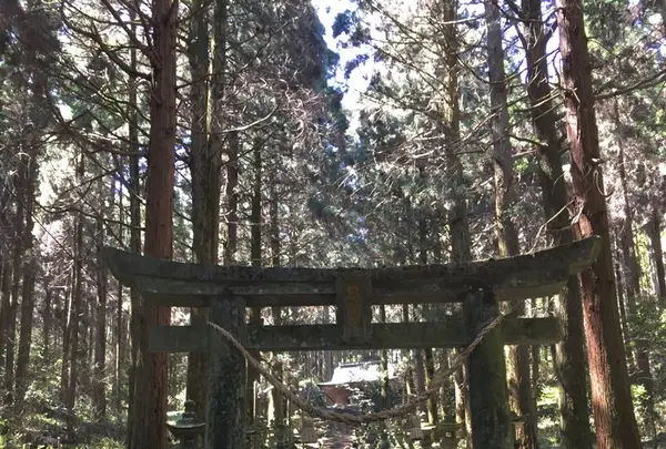 上色見熊野座神社の写真・動画_image_231622