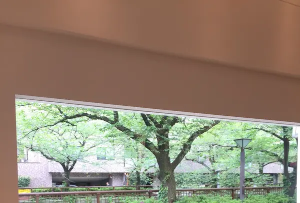 Jaho Coffee at Plain Peopleの写真・動画_image_231868