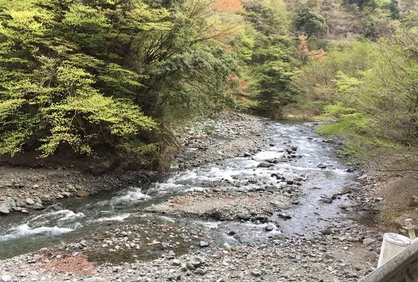 ヤビツ峠の写真・動画_image_232234