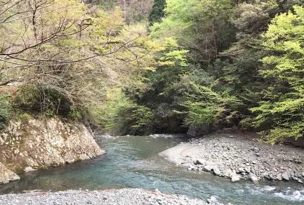 ヤビツ峠の写真・動画_image_232235