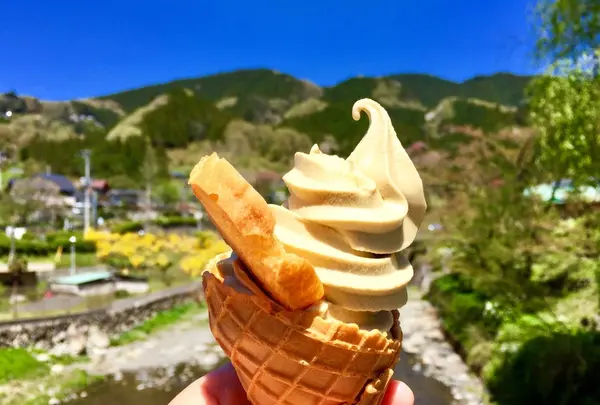道の駅 果樹公園あしがくぼの写真・動画_image_232325