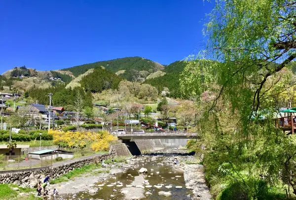 道の駅 果樹公園あしがくぼの写真・動画_image_232327