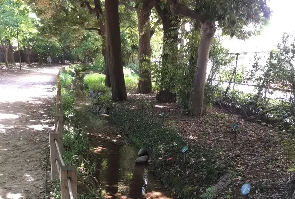 新宿御苑の写真・動画_image_232383