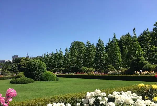 新宿御苑の写真・動画_image_232384