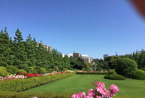 新宿御苑の写真・動画_image_232387