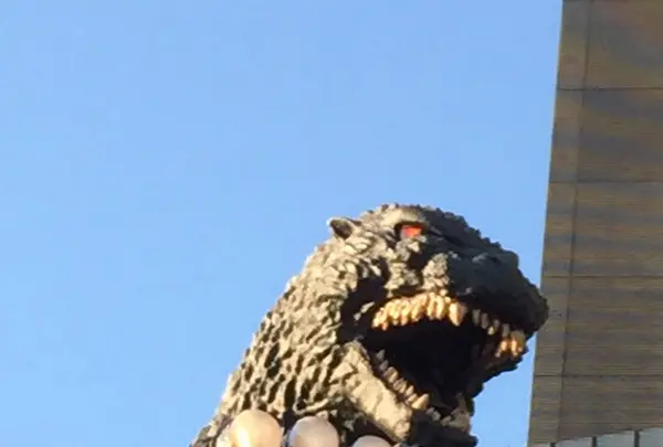 歌舞伎町の写真・動画_image_232403