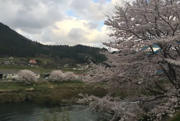 道の駅　和の写真・動画_image_232435