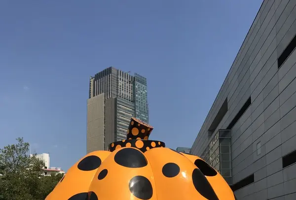 国立新美術館の写真・動画_image_232492