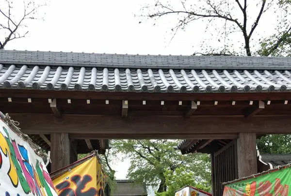 曼荼羅寺の写真・動画_image_232810
