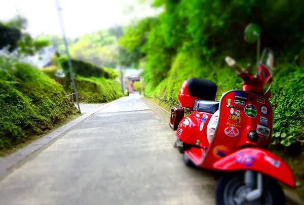 長寿寺の写真・動画_image_232977