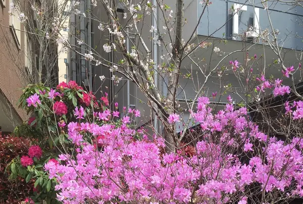 [閉店] NOZ BY T.Y.FARMの写真・動画_image_232994