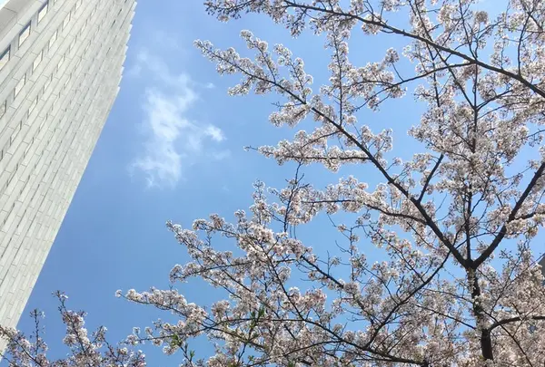 [閉店] NOZ BY T.Y.FARMの写真・動画_image_232995