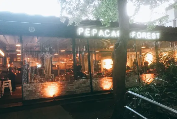 ペパカフェフォレストの写真・動画_image_233076