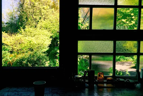 雲海珈琲焙煎所の写真・動画_image_233142