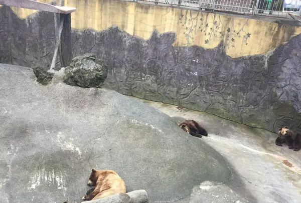 阿蘇カドリー・ドミニオンの写真・動画_image_233157