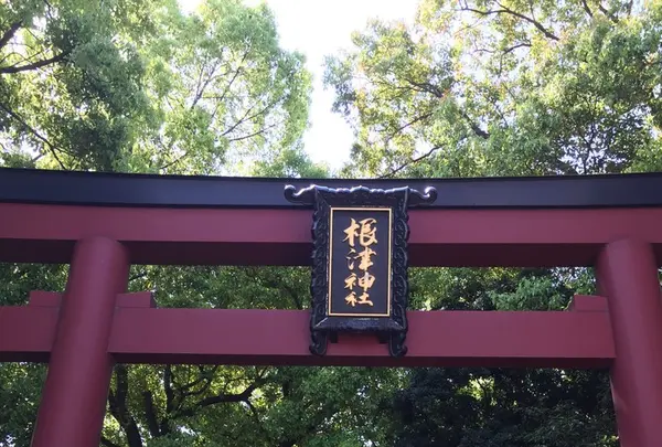 根津神社の写真・動画_image_233512