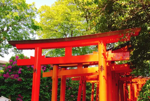 根津神社の写真・動画_image_233514