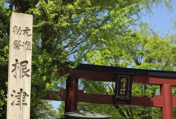 根津神社の写真・動画_image_233518