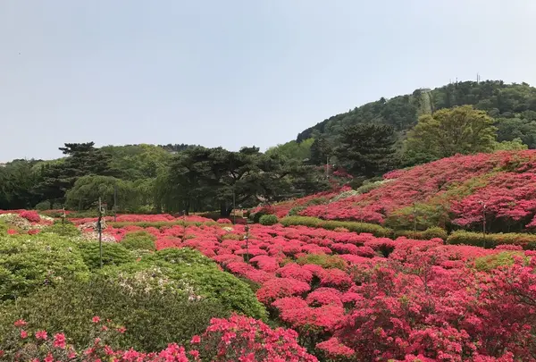 小室山公園の写真・動画_image_234207