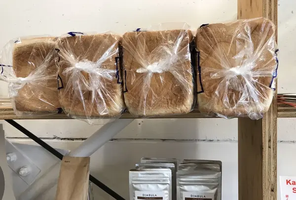 buikの写真・動画_image_234283