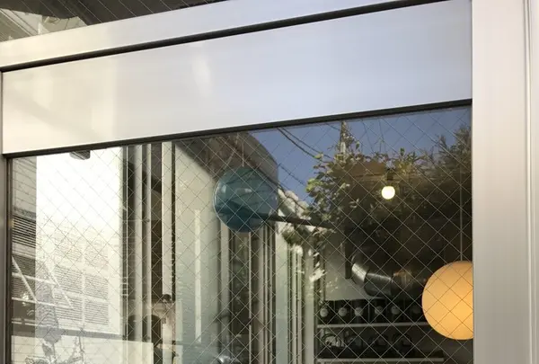 buikの写真・動画_image_234284