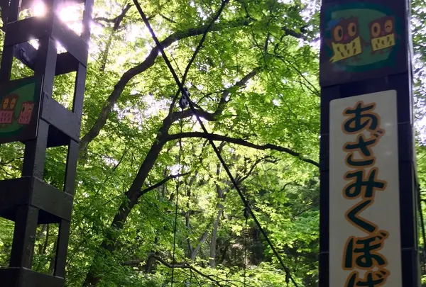 国営武蔵丘陵森林公園の写真・動画_image_234427