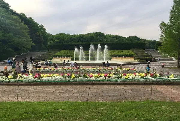 国営武蔵丘陵森林公園の写真・動画_image_234428