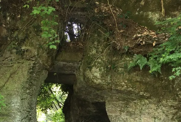 海蔵寺の写真・動画_image_234442