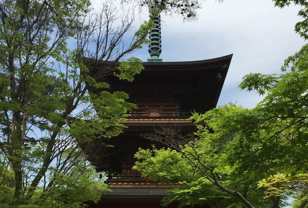 豪徳寺の写真・動画_image_234616