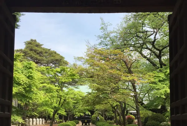 豪徳寺の写真・動画_image_234618