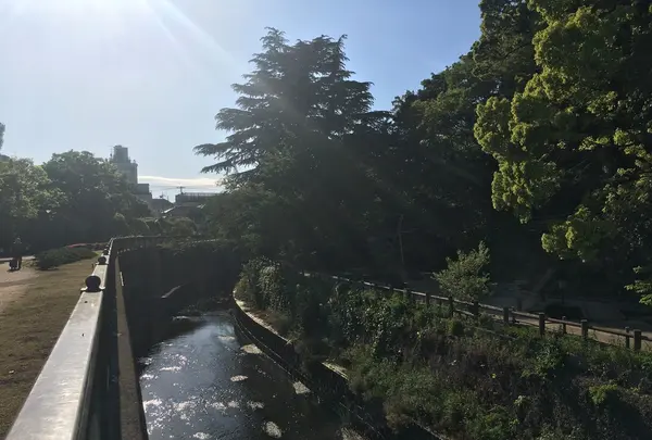 哲学堂公園の写真・動画_image_234795