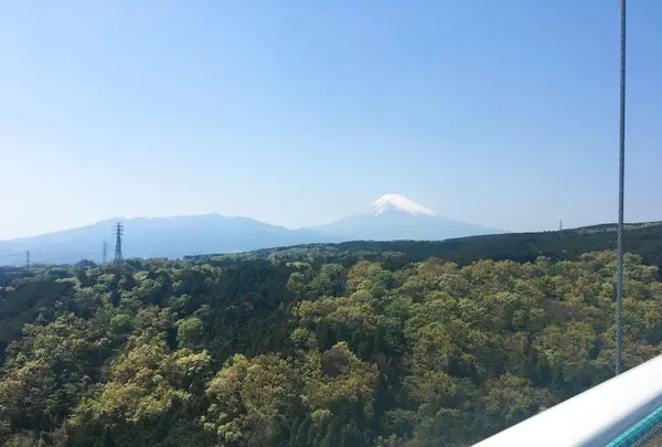 三島スカイウォークの写真・動画_image_234818