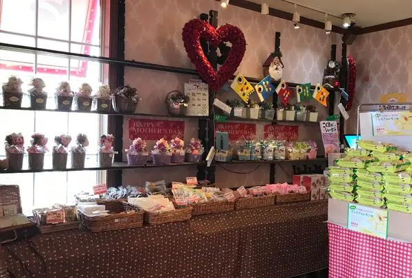 アルパジョン仙台泉本店の写真・動画_image_234935