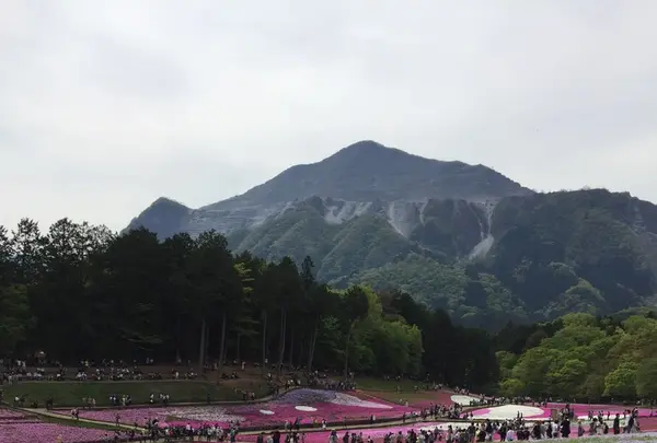 羊山公園の写真・動画_image_234951