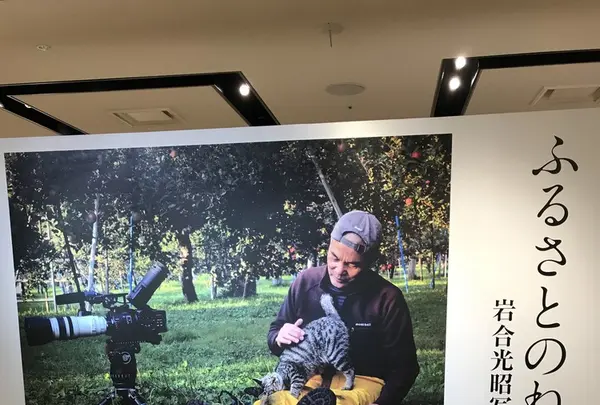 阪急うめだ本店（阪急百貨店）の写真・動画_image_234962