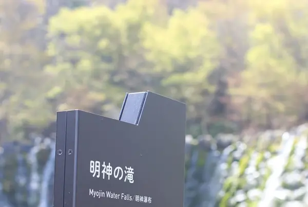 山中湖花の都公園の写真・動画_image_235144