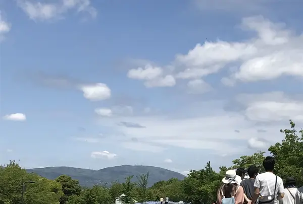 馬見丘陵公園の写真・動画_image_235242