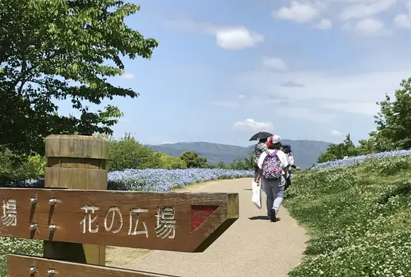 馬見丘陵公園の写真・動画_image_235243