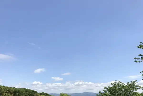 馬見丘陵公園の写真・動画_image_235245