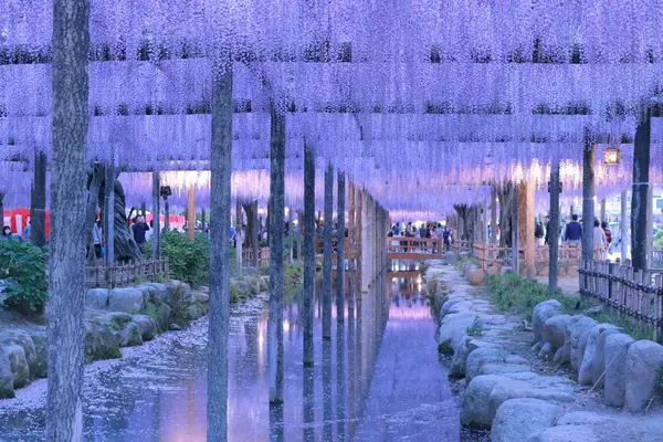 天王川公園の写真・動画_image_235267