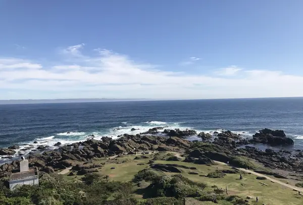 野島埼灯台の写真・動画_image_235282