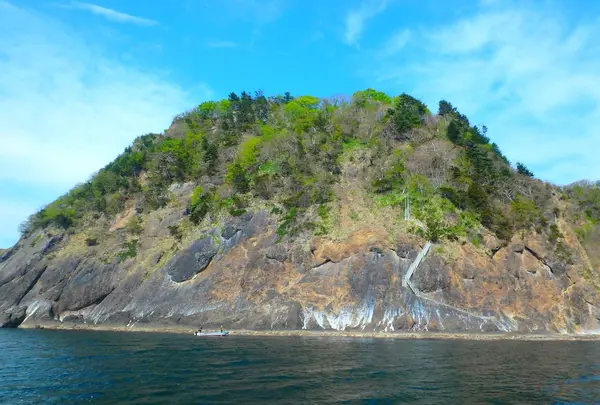 矢越クルーズ(矢越海岸アドベンチャーズのりば)の写真・動画_image_235322